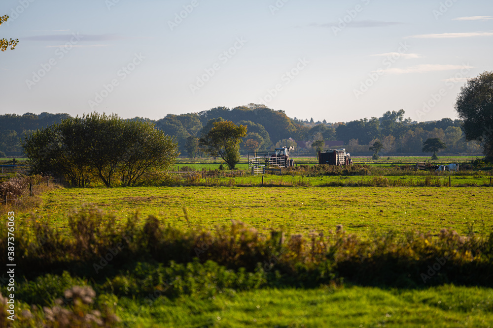 in the evening in the sunlight, tractors drive over  hill and dale in the country, there is always something to do