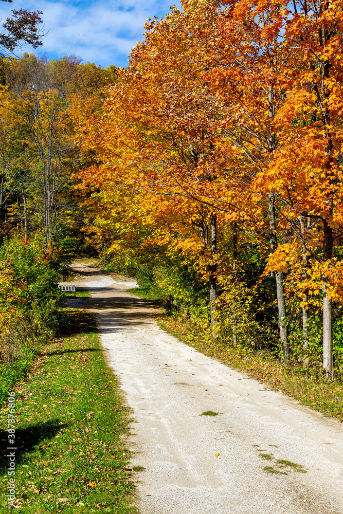 Naklejka premium Colorful Lane