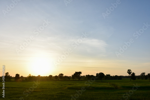 silhouette of a person in a field