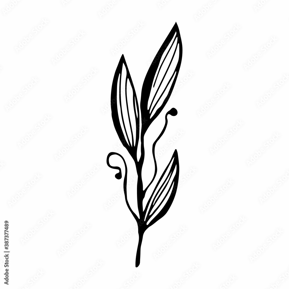 twig single vector illustration .contour handmade image twig single vector illustration .contour handmade image
