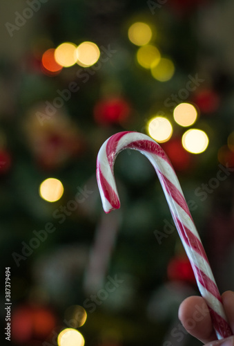 Candy Canes For Christmas With An Unfocused Background. Christmas Backgrounds
