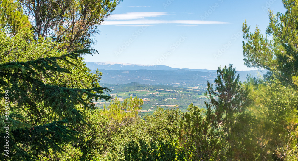 Paysage du lubéron avec vue sur la vallée du rhône, la végétation méditerranéenne et les Alpes à l'arrière plan, un jour ensoleillé sans nuage