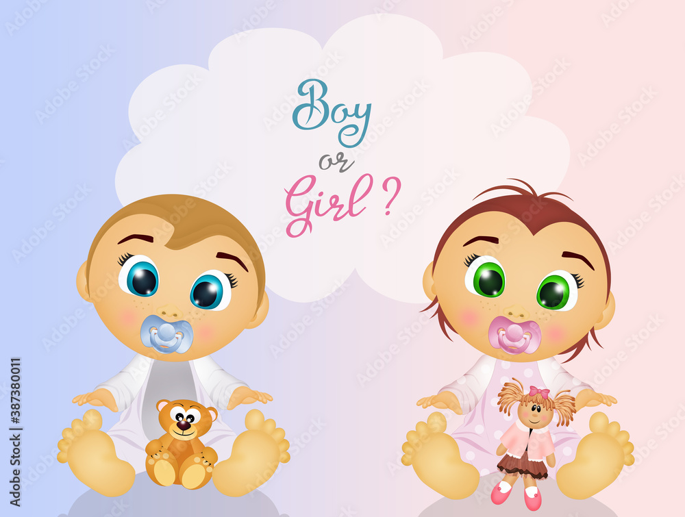 funny illustration of gender party funny illustration of gender party