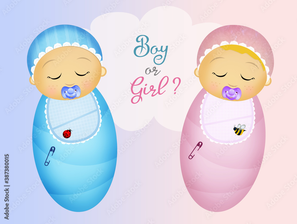 will the girl or the boy be born? will the girl or the boy be born?