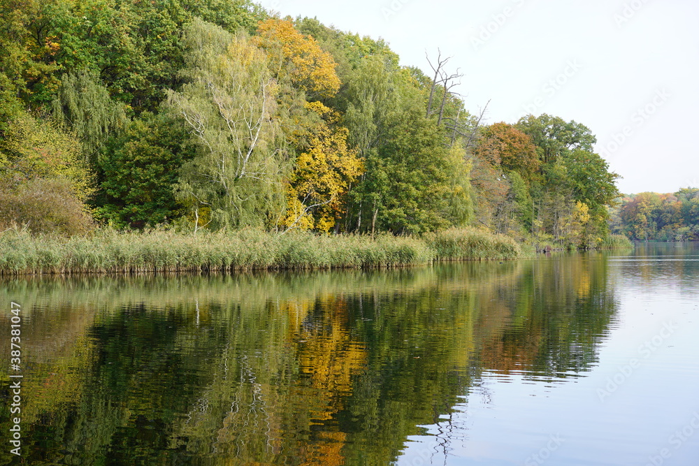 Idyllische, bunte, sonnige Seenlandschaft im Herbst (Berlin, Schlachtensee)
