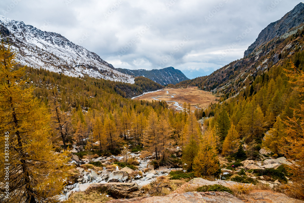Fototapeta premium Predarossa Val Masina