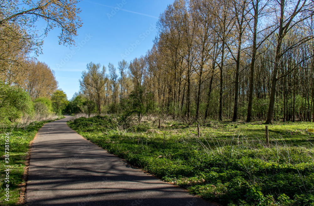 Natuurpark De Broekpolder bij Vlaardingen-Nederland