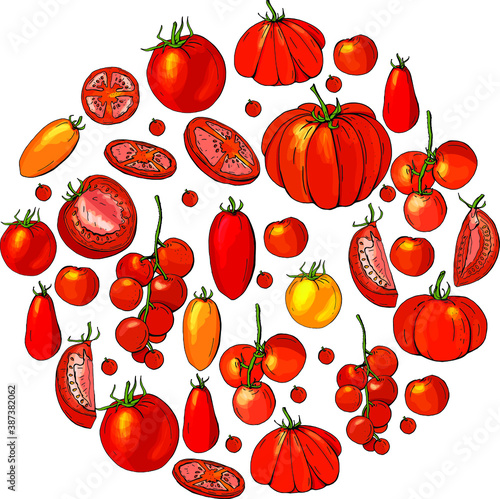 How to grow tomatoes. Isolated fresh vegetables, different sorts. Food made of tomatoes