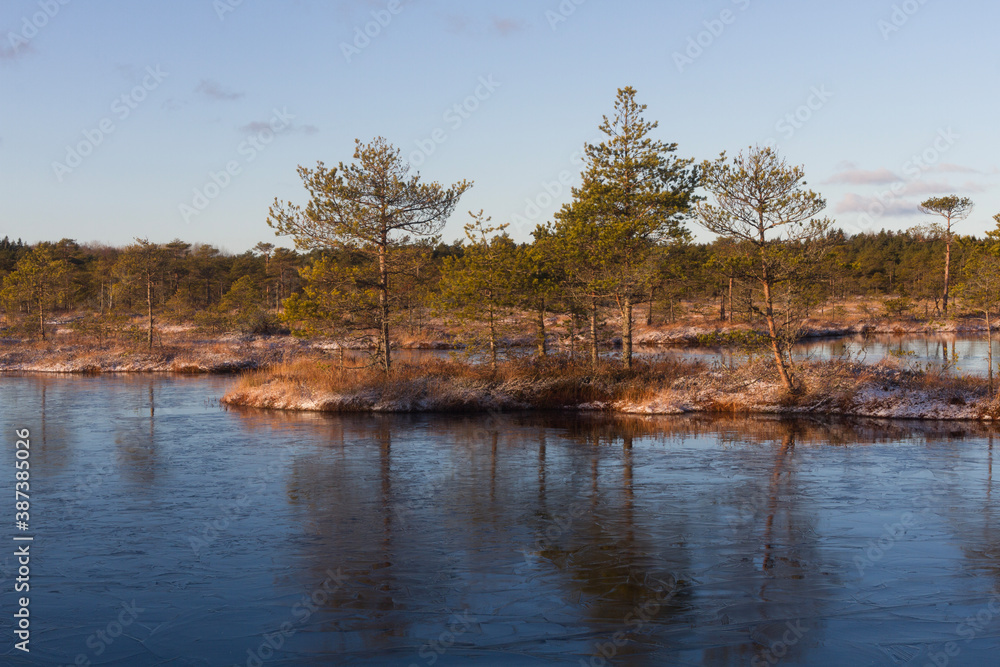 Swamp lake with islands in sunny winter day in sunrise Swamp lake with islands in sunny winter day in sunrise
