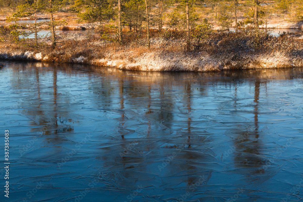 Fototapeta premium Swamp lake with islands in sunny winter day in sunrise