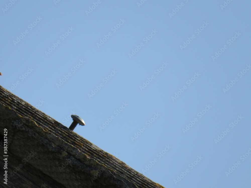 Nail hammered into the roof on a background of beautiful blue sky Nail hammered into the roof on a background of beautiful blue sky