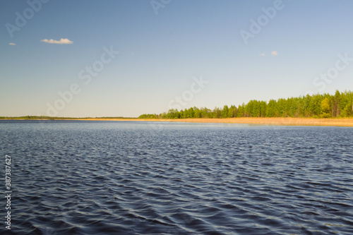 Lake on a bright, Sunny summer day