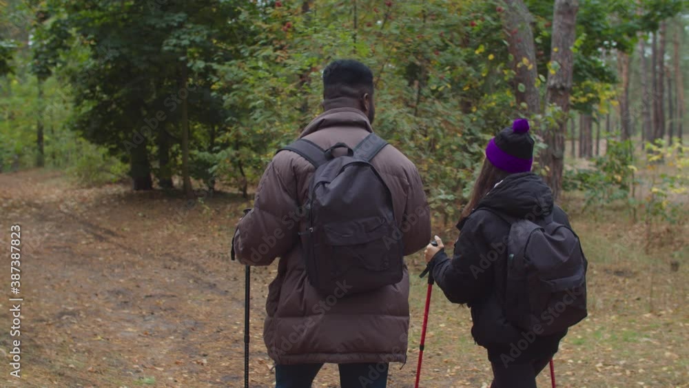 Rear view of active healthy lifestyle interracial hikers couple with backpacks and trekking poles walking through autumn forest, enjoying adventure and freedom during hike in beautiful nature. Rear view of active healthy lifestyle interracial hikers couple with backpacks and trekking poles walking through autumn forest, enjoying adventure and freedom during hike in beautiful nature.