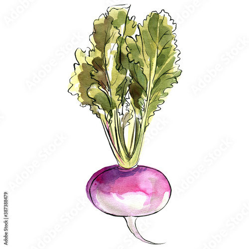 Foto Turnip