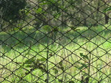 Mesh fence made of metal wire on a blurred background