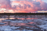 Swamp lake with islands in sunny winter day in sunrise