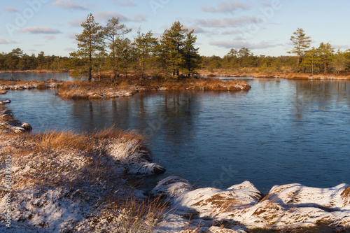 Swamp lake with islands in sunny winter day in sunrise