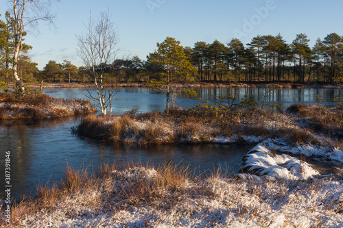 Swamp lake with islands in sunny winter day in sunrise