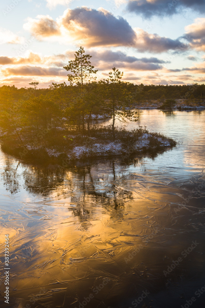 Swamp lake with islands in sunny winter day in sunrise Swamp lake with islands in sunny winter day in sunrise