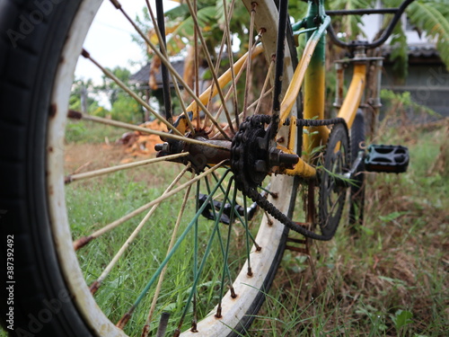bicycle wheel in the park