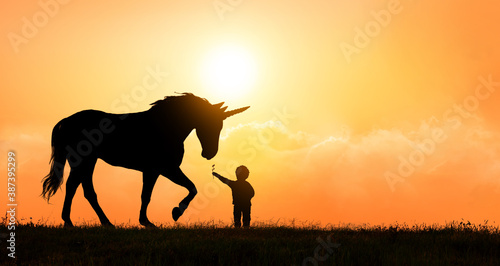 Fototapeta Naklejka Na Ścianę i Meble -  Unicorn silhouette at sunset with baby