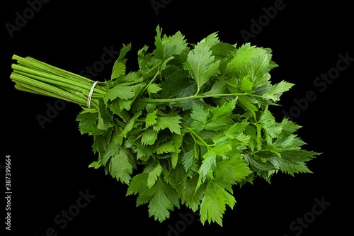 Fotografie Leafy celery herb on black