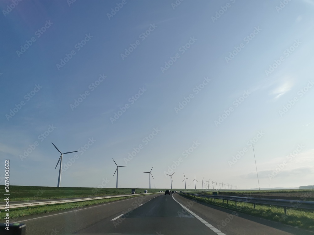 Fototapeta premium Primer paso