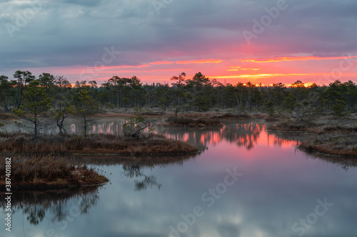 Swamp lake with islands in misty morning