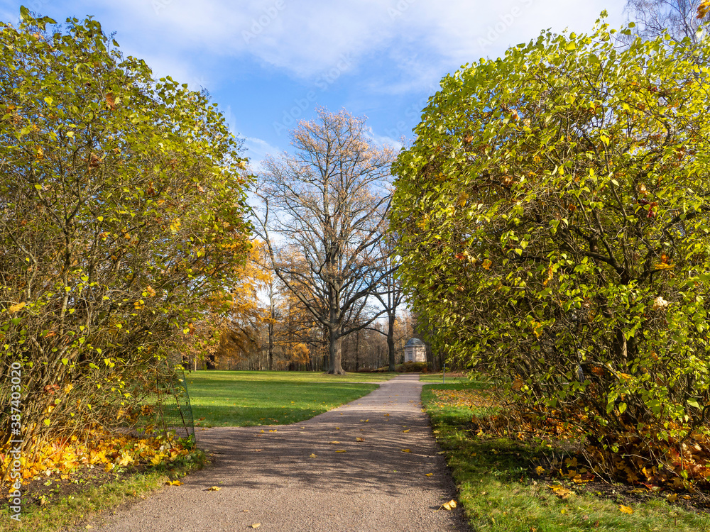 Sunny autumn day in Herttoniemi park in Finland, pathway leads between two big lilac shrubs and over lawn to a distant gazebo