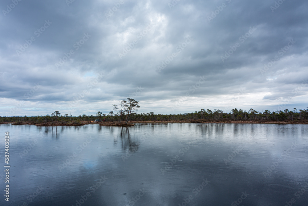 Swamp lake with islands in misty morning