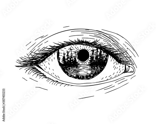 The eye that reflects the landscape