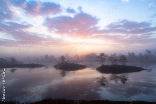 Swamp lake with islands in misty morning