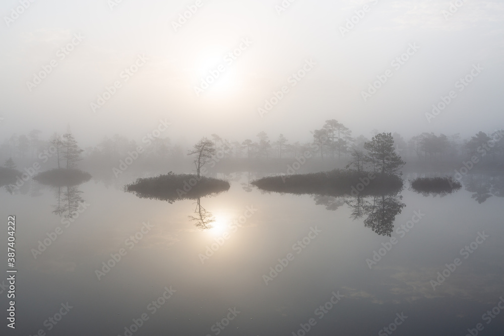misty morning in the swamp lake misty morning in the swamp lake