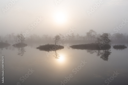 Misty morning in the swamp lake