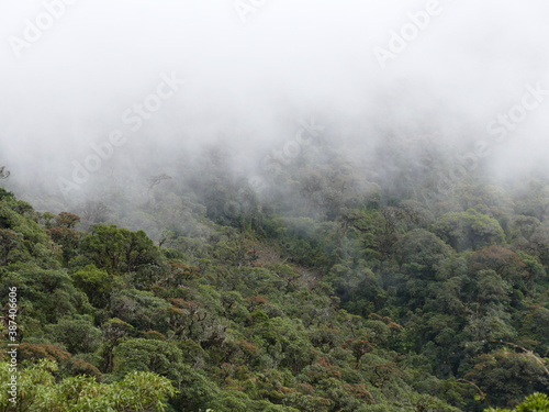 Der Podocarpus-Nationalpark (spanisch: Parque Nacional Podocarpus) ist ein bedeutender Nationalpark im Südosten Ecuadors. Gründung 1982. Fläche 1462,80 km2