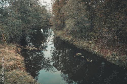 river in the forest