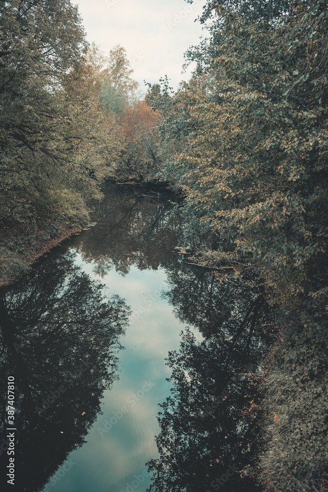 river in the woods river in the woods