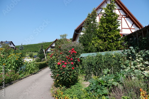 Ein Sommertag im Schwarzwalddorf