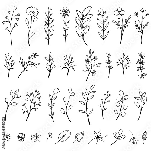 Hand Drawn Botanical Elements set. In flowers and branches set. Doodle style/ Vintage botanical illustrations.