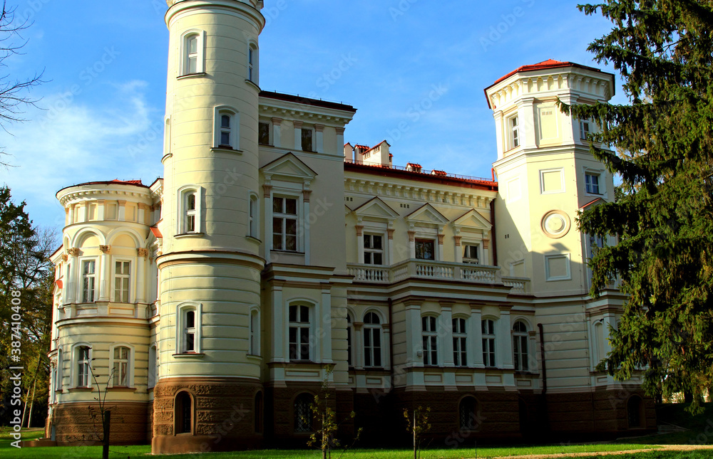 Obraz premium Zamek Pałac Zabytek Pomnik Rzeźba