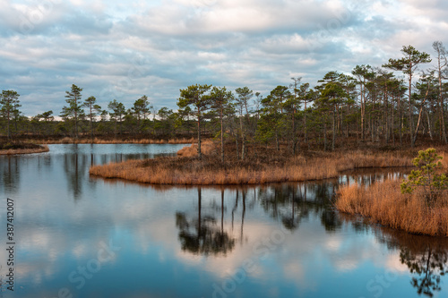 Swamp lake with islands in sunny day and sunrise