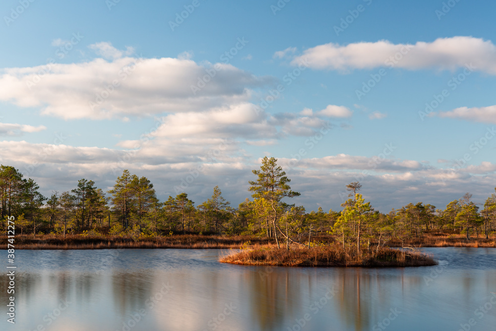 Swamp lake with islands in sunny day and sunrise
