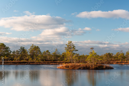 Swamp lake with islands in sunny day and sunrise