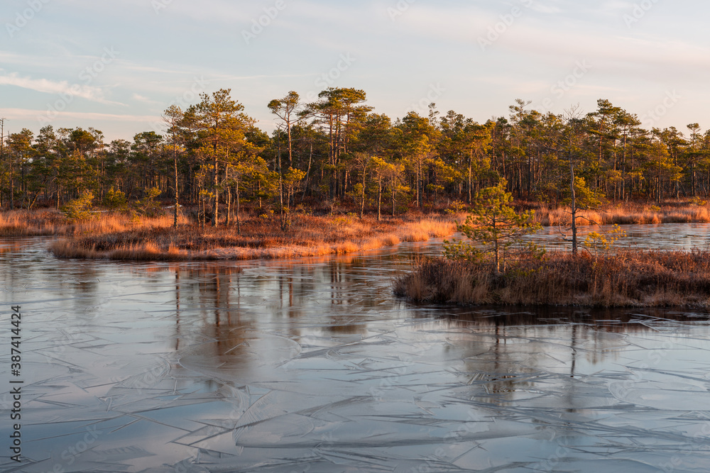 Swamp lake with ice in sunny spring day in sunrise