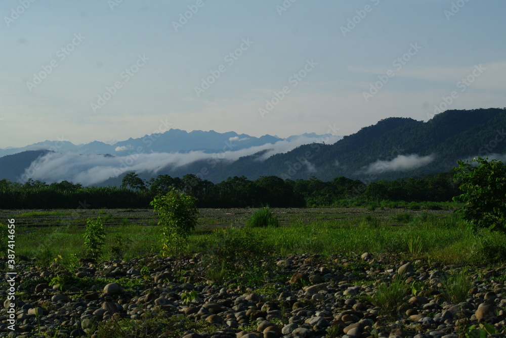 Wonders of the Amazon Rainforest in the Viceroyalty of Peru Wonders of the Amazon Rainforest in the Viceroyalty of Peru