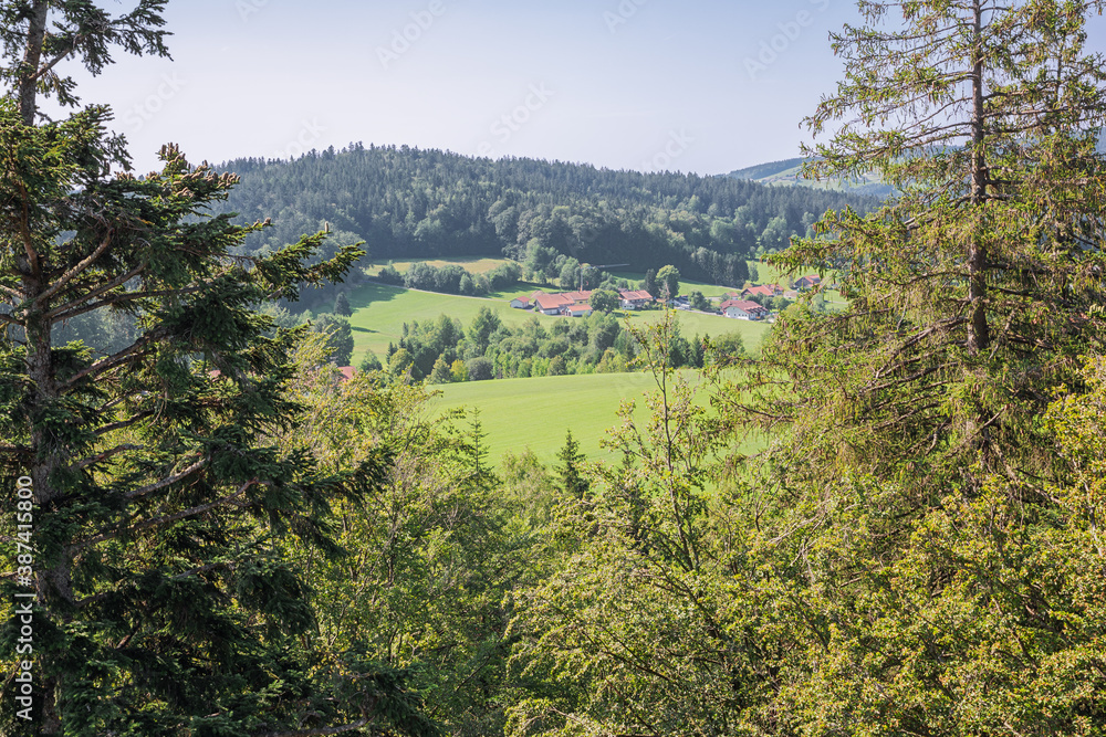 Rolling hills around Neuschonau in de vicinity of the treetop walk