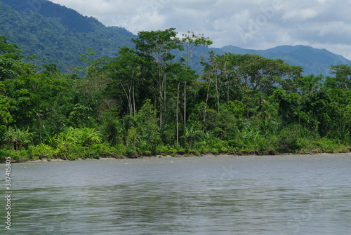 Wonders of the Amazon Rainforest in the Viceroyalty of Peru