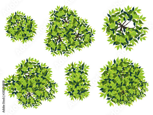 Collection of abstract green tree top view isolated on white background for landscape plan and architecture layout drawing, elements for environment and garden. 