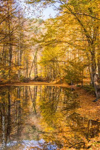 Autumn in the woods and its reflection in the lake