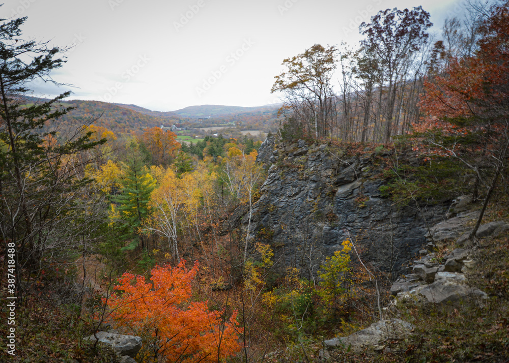 Fototapeta premium autumn forest in the mountains